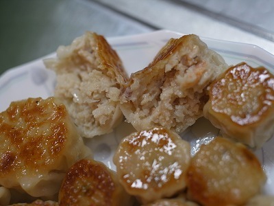 R1034456.jpg
